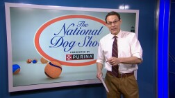 nbc_dog_kornacki_breedfunfact_231122.jpg